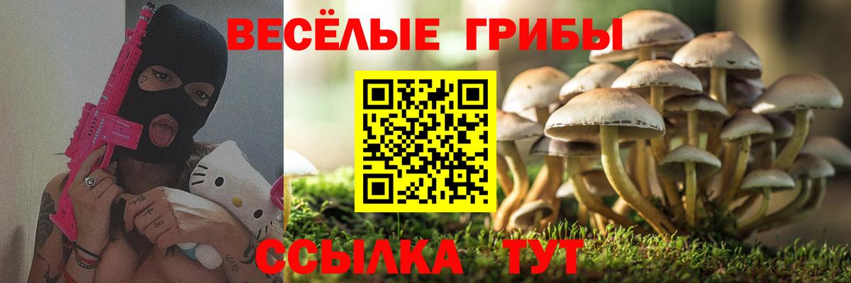 купить  цена  Галлюциногенные грибы мухоморы  Вход с VPN  Новосибирск  Псилоцибиновые грибы мухоморы 
